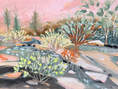 Paula Jenkins Meandering, Girraween National Park 29 x 39cm Gouache on paper $990 framed