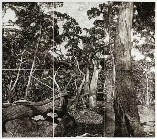 David-Frazer-The-tangled-wood-(composition-llI)-2018-etching-80-x-90cm-$2,750-UF-$,3350-F