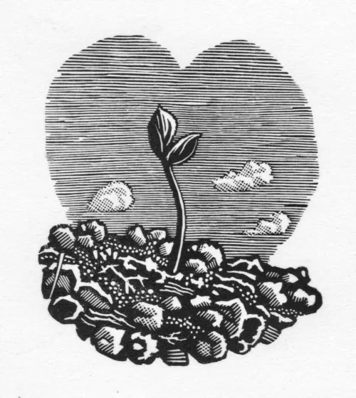 David Frazer Love Grows 2023 wood engraving 6.6x5.8cm $525 F $375 UF
