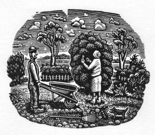 David Frazer In the garden 2023 wood engraving 7x8.3cm $575 F $425 UF