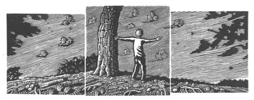 David Frazer the wicked wind