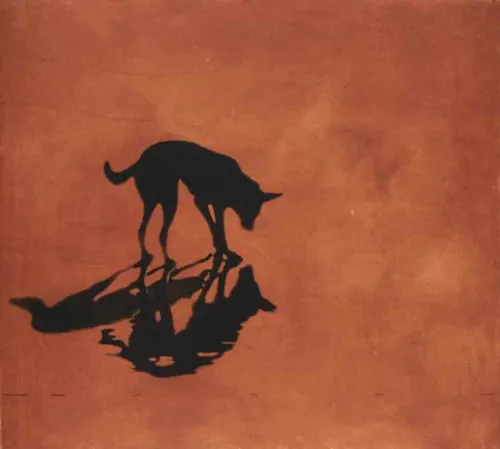Deborah Williams Present, Absent 2024 edition 15 52.5 x 59 cm $2300 f