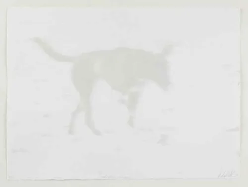 Deborah Williams Celestial movement 2023 Screenprint 28 x 38 cm $1085 f