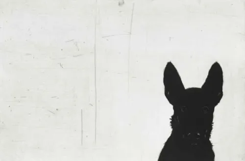 Deborah Williams Hold her Gaze 2024 soft ground etching, roulette and drypoint intaglio 38 x 57 cm $1900 f