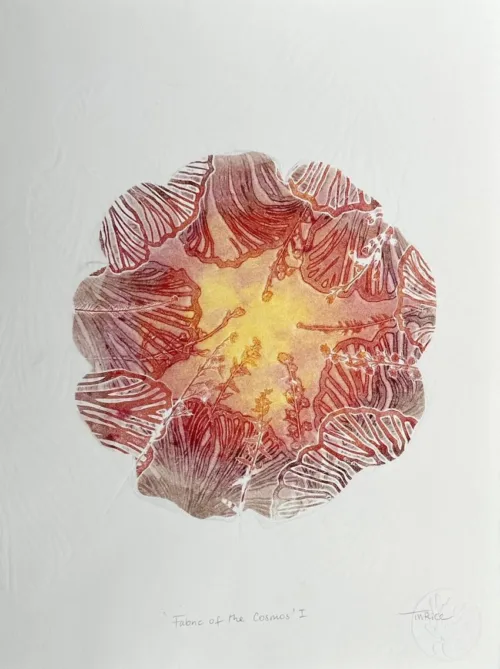 Trudy Rice Fabric of the Cosmos I Monotype 38 x 29cm $960 f.jpg