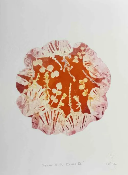 Trudy Rice Fabric of the Cosmos IV Monotype 38 x 29cm $960 f