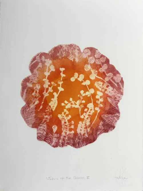 Trudy Rice Fabric of the Cosmos V Monotype 38 x 29cm $960 f