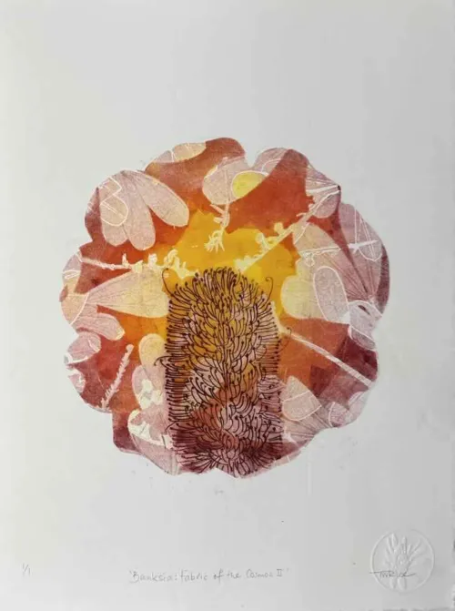 Trudy Rice Banksia, Fabric of the Cosmos II Multi solar plate etching and Monotype 38 x 29cm $590
