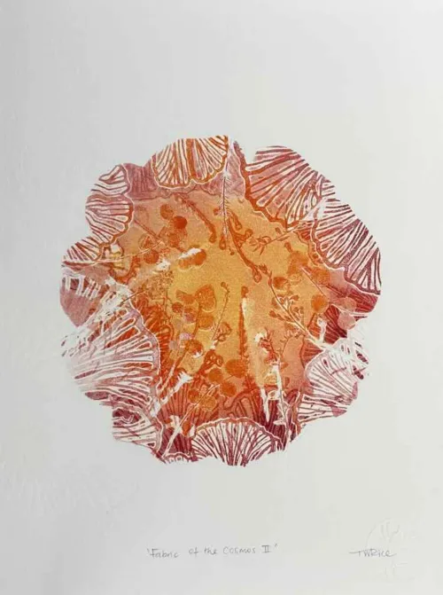 Trudy Rice Fabric of the Cosmos II Monotype 38 x 29cm $590