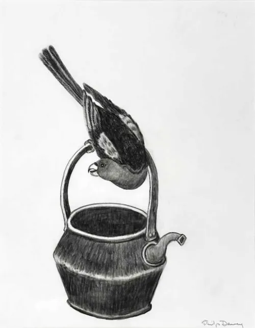Philip Davey Parrot with Kettle grpahite on paper 30 x 40cm $1750 f