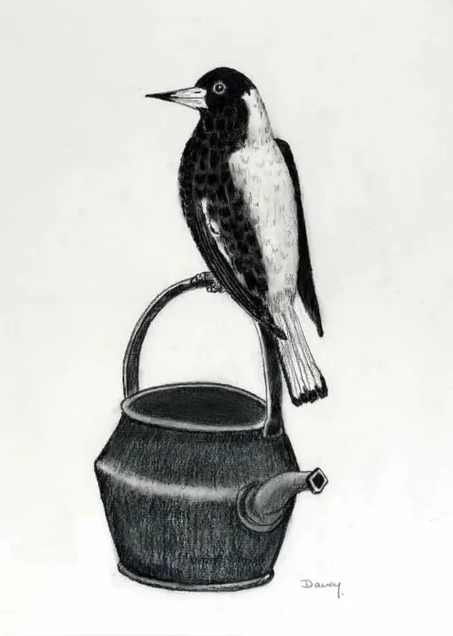 Philip Davey Magpie and Kettle graphite on paper 36 x 52cm $1,900 f