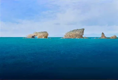 Adam Nudelman Bird Island Walkerville Sth No. 2, 55 x 74 cm acrylic & oil on linen 2025 $7,900 f (1)