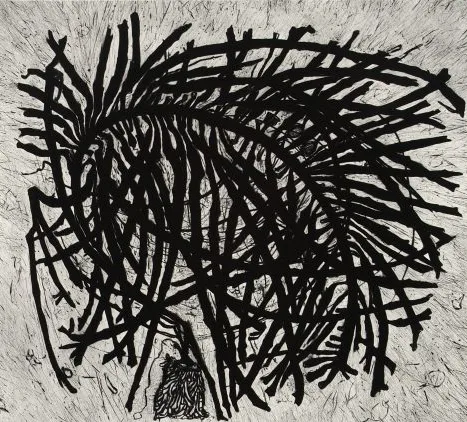 Hertha Kluge-Pott Wings of Kelp - Page 2 Drypoint 44x49.5cm Edition 10_12 $1,800 unframed