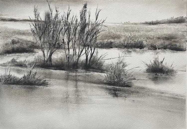 Marketa Kemp Wetlands VI monotype 30 x 20 cm $900 f Marketa Kemp Wetlands VI monotype 30 x 20 cm $900 f
