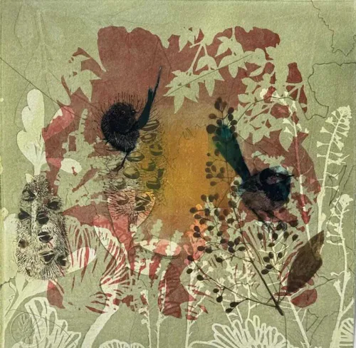 Trudy Rice Beautiful birds visiting my garden 40x40cm multi solar plate etching and monotype work on paper $1,200