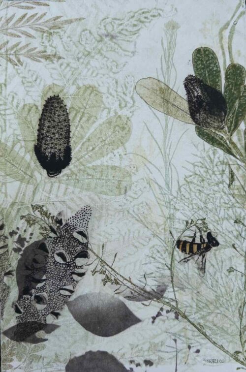 Trudy Rice Native Bee in the Banksias multi solar plate etching and monotype work on paper 28 x 19cm $320