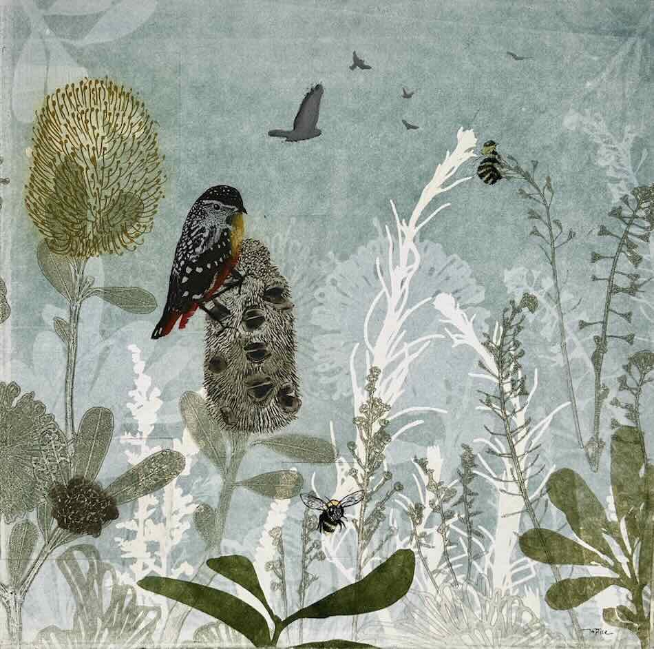 Trudy Rice Pardalote in the Gardens Embrace 40x40cm multi solar plate etching and monotype work on paper $1,200 Trudy Rice Pardalote in the Gardens Embrace 40x40cm multi solar plate etching and monotype work on paper $1,200
