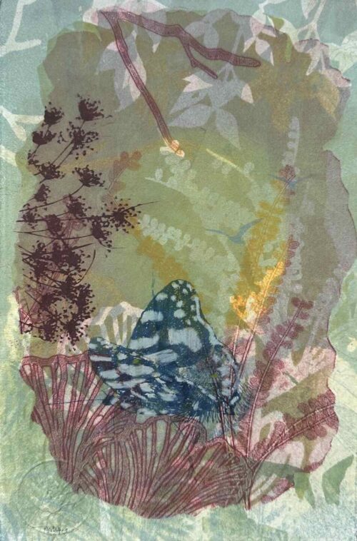 Trudy Rice Splended 29x19cm multi solar plate etching and monotype work on paper $320