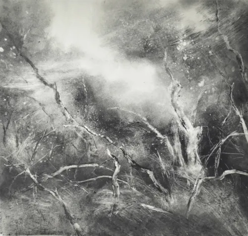 Marketa Kemp Behind 5 Mile II monotype $1,450 f