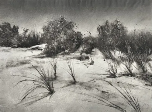 Marketa Kemp Coastalina III monotype $1,100 f