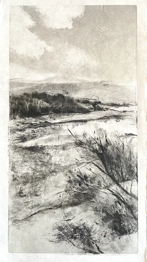 Marketa Kemp Down South monotype handprinted on washi paper$500