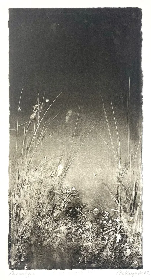 Marketa Kemp Undergrowth X monotype $500