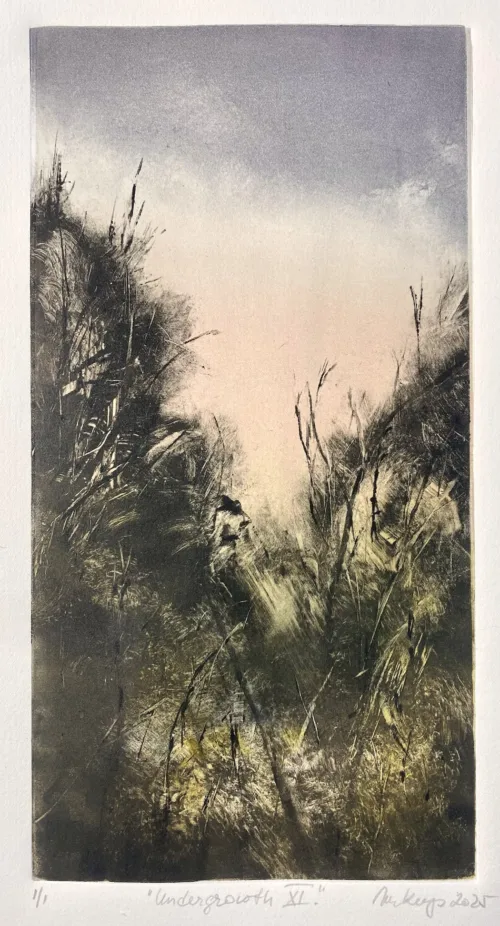 Marketa Kemp Undergrowth XI monotype $500