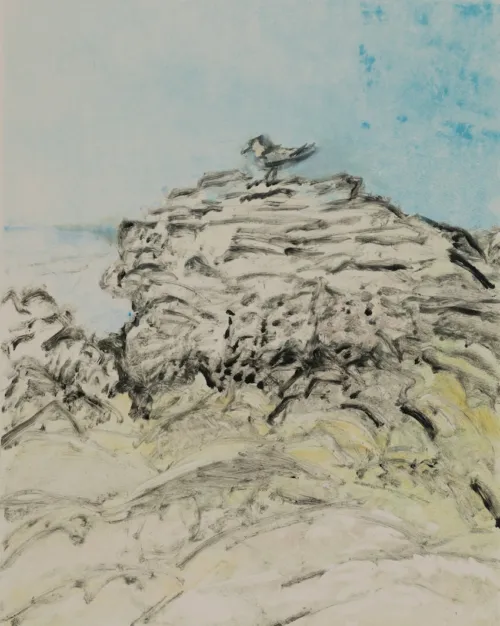 Susan Wald Beach at Lighthouse 2, 2025 monotype coloured ink on Somerset paper 50 x 39.5cm $1,200 uf
