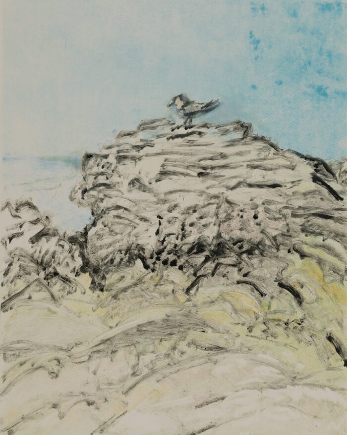 Susan Wald Beach at Lighthouse 2, 2025 monotype coloured ink on Somerset paper 50 x 39.5cm $1,200 uf
